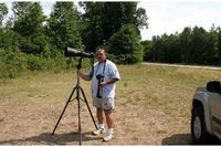 Photographing bald eagles