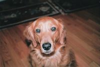 my best friend