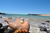 Being in the moment.. 16/08/14 Mercedes Cove, West Kimberley Coast Peninsula. Western Australia. 
