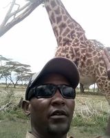 Safarimania