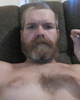 Bearbear1