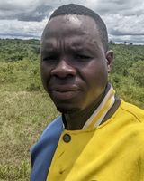 Simbajr