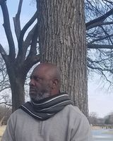 Silverfox369
