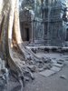 Ankor Wat  Cambodia 2011