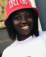 Stainlessan