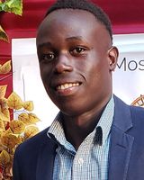 Kingloveug