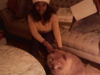 My Chow Chow. She's gone now, may God bless her soul. RIP
