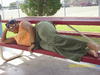 relaxing at the park
