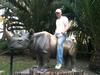 Riding a mexican rhino. It was pretty intense, but I survived!