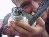 i'm the adorable reptile. 