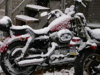 Damn Snow Days, If there's no ice let's ride...
