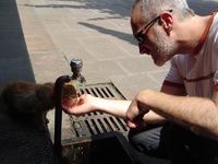 Helping a kitty get a drink at the ancient Buddhist temple in Chengdu, Sichuan Province, China.  (August, 2007)