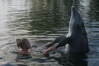 Playing with my dolphin friends!