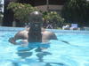 In the pool, Cuba